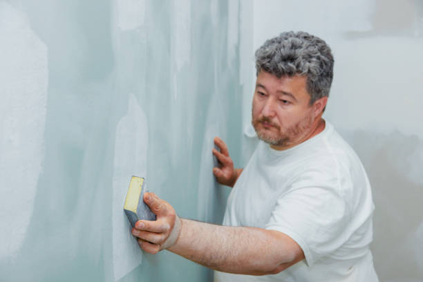 Best Real Estate Mold Inspection  in Awendaw, SC